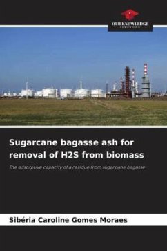 Sugarcane bagasse ash for removal of H2S from biomass - Gomes Moraes, Sibéria Caroline