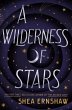 A Wilderness of Stars - Bild 1