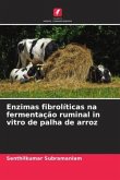 Enzimas fibrolíticas na fermentação ruminal in vitro de palha de arroz