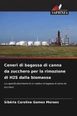 Ceneri di bagassa di canna da zucchero per la rimozione di H2S dalla biomassa