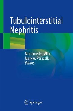 Tubulointerstitial Nephritis (eBook, PDF)