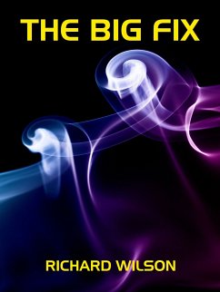 The Big Fix (eBook, ePUB) - Wilson, Richard