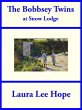 The Bobbsey Twins at Snow Lodge (eBook,... - Bild 1