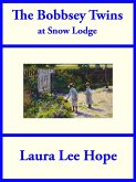 The Bobbsey Twins at Snow Lodge (eBook, ePUB)