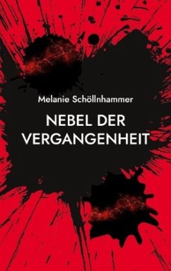 Nebel der Vergangenheit - Schöllnhammer, Melanie