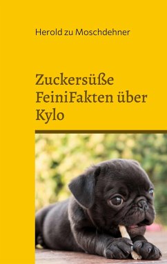 Zuckersüße FeiniFakten über Kylo