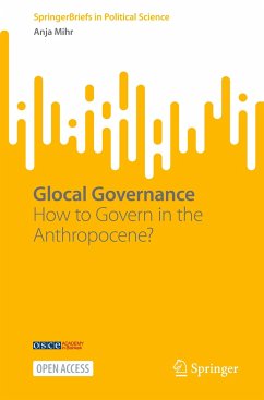 Glocal Governance - Mihr, Anja