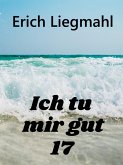 Ich tu mir gut 17 (eBook, ePUB)