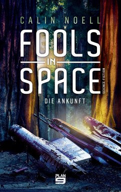 Fools in Space - Noell, Calin