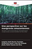 Une perspective sur les mangroves amazoniennes