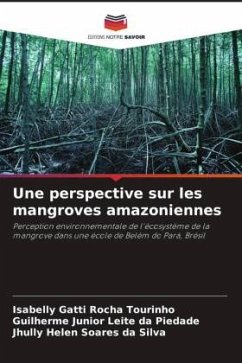 Une perspective sur les mangroves amazoniennes - Gatti Rocha Tourinho, Isabelly;Junior Leite da Piedade, Guilherme;Helen Soares da Silva, Jhully
