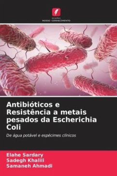 Antibióticos e Resistência a metais pesados da Escherichia Coli - Sardary, Elahe;Khalili, Sadegh;Ahmadi, Samaneh