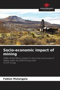 Socio-economic impact of mining - Mutangala, Fabien