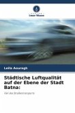 Städtische Luftqualität auf der Ebene der Stadt Batna: