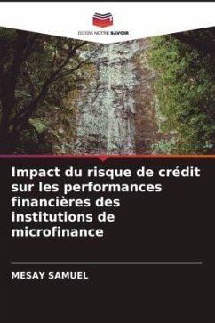 Impact du risque de crédit sur les performances financières des institutions de microfinance - Samuel, Mesay