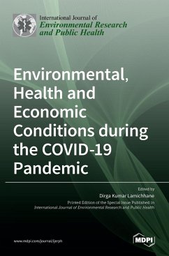 Environmental, Health and Economic Conditions during the COVID-19 Pandemic