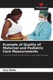 Example of Quality of Maternal and Pediatric Care Measurements