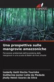 Una prospettiva sulle mangrovie amazzoniche