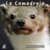 La comadreja (eBook, ePUB)