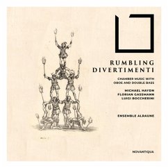 Rumbling Divertimenti-Kammermusik - Ensemble Alraune