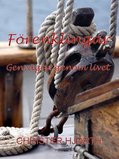 Förenklingar (eBook, ePUB) - Hjorth, Christer