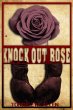Knock-Out Rose (eBook, ePUB) - Bild 1