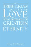 The Trinitarian Activity Of Love From Beginning Of Creation To Eternity (eBook, ePUB)