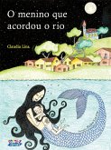 O menino que acordou o rio (eBook, ePUB)