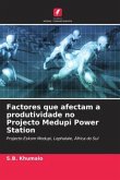 Factores que afectam a produtividade no Projecto Medupi Power Station