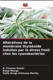 Altérations de la membrane thylakoïde induites par le stress froid chez les cyanobactéries