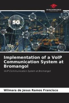 Implementation of a VoIP Communication System at Bromangol - Francisco, Wilmara de Jesus Ramos