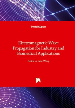 Electromagnetic Wave Propagation for Industry and Biomedical Applications