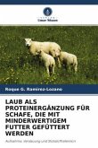 LAUB ALS PROTEINERGÄNZUNG FÜR SCHAFE, DIE MIT MINDERWERTIGEM FUTTER GEFÜTTERT WERDEN