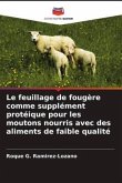 Le feuillage de fougère comme supplément protéique pour les moutons nourris avec des aliments de faible qualité