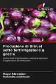 Produzione di Brinjal sotto fertirrigazione a goccia