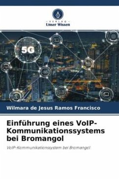 Einführung eines VoIP-Kommunikationssystems bei Bromangol - Francisco, Wilmara de Jesus Ramos