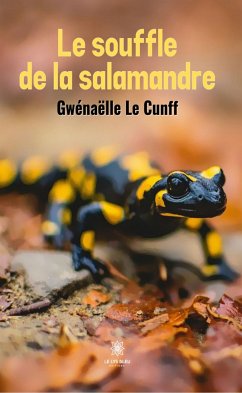 Le souffle de la salamandre (eBook, ePUB) - Le Cunff, Gwénaëlle