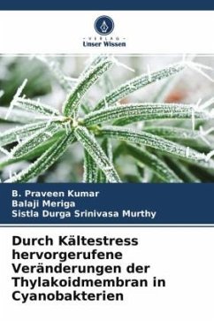 Durch Kältestress hervorgerufene Veränderungen der Thylakoidmembran in Cyanobakterien - Praveen Kumar, B.;Meriga, Balaji;Durga Srinivasa murthy, Sistla