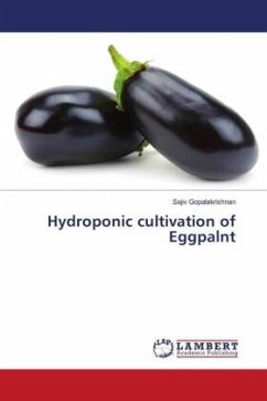 Hydroponic cultivation of Eggpalnt