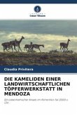 DIE KAMELIDEN EINER LANDWIRTSCHAFTLICHEN TÖPFERWERKSTATT IN MENDOZA