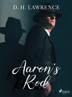 Cover Aaron's Rod (eBook, ePUB)