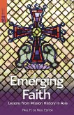 Emerging Faith (eBook, ePUB)