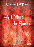 A Cólera do Santo (eBook, ePUB)