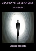 VIDA APÓS A VIDA COM COMENTÁRIOS (eBook, ePUB)