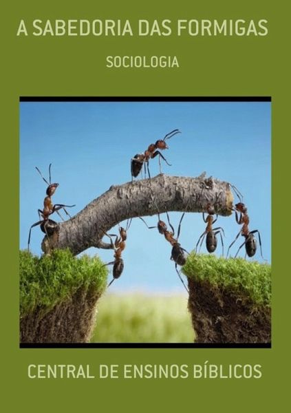 A SABEDORIA DAS FORMIGAS (eBook, ePUB)