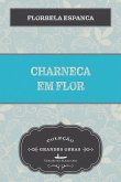 Charneca em Flor (eBook, ePUB)