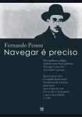 Navegar é preciso (eBook, ePUB)