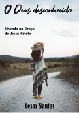 O Deus desconhecido (eBook, ePUB)