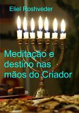 Meditação e destino nas mãos do Criador (eBook, ePUB)