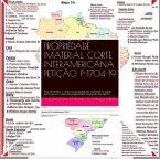 O FUTURO DA PROPRIEDADE IMATERIAL, CORTE INTERAMERICANA PETIÇÃO P-1704-19 (eBook, ePUB)